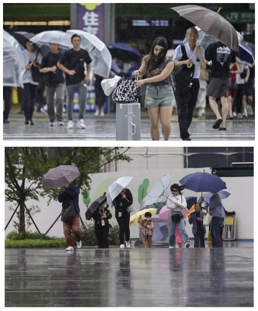 台風が多い地域と少ない地域の違い