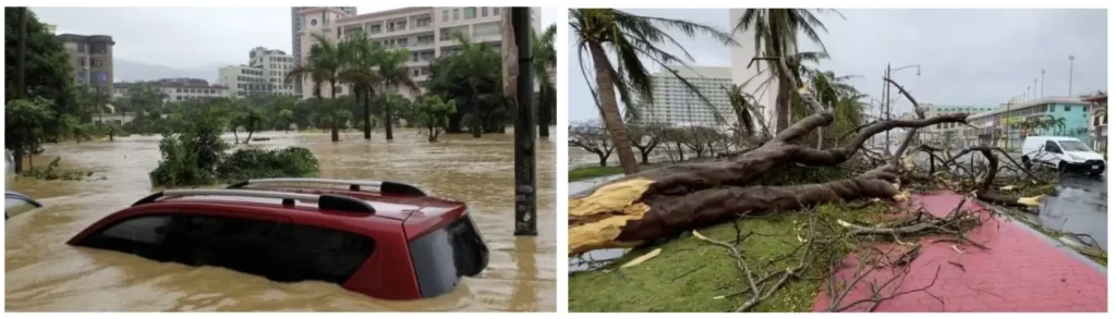 まとめ：台風が日本に多い理由について