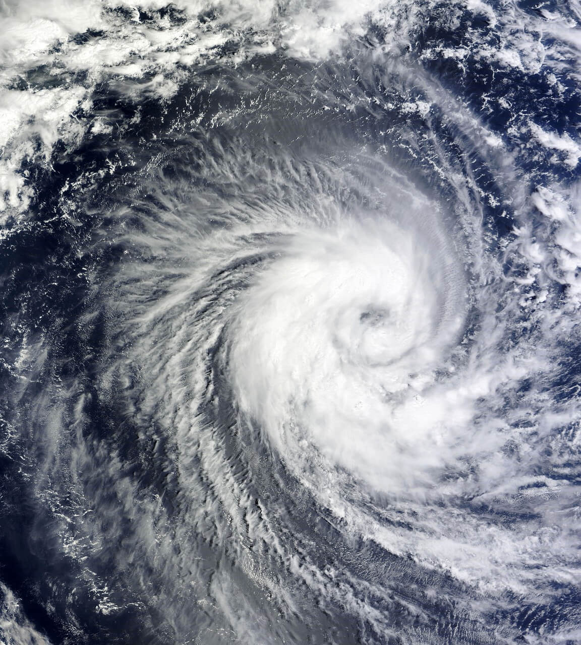 台風はどっち周りか？